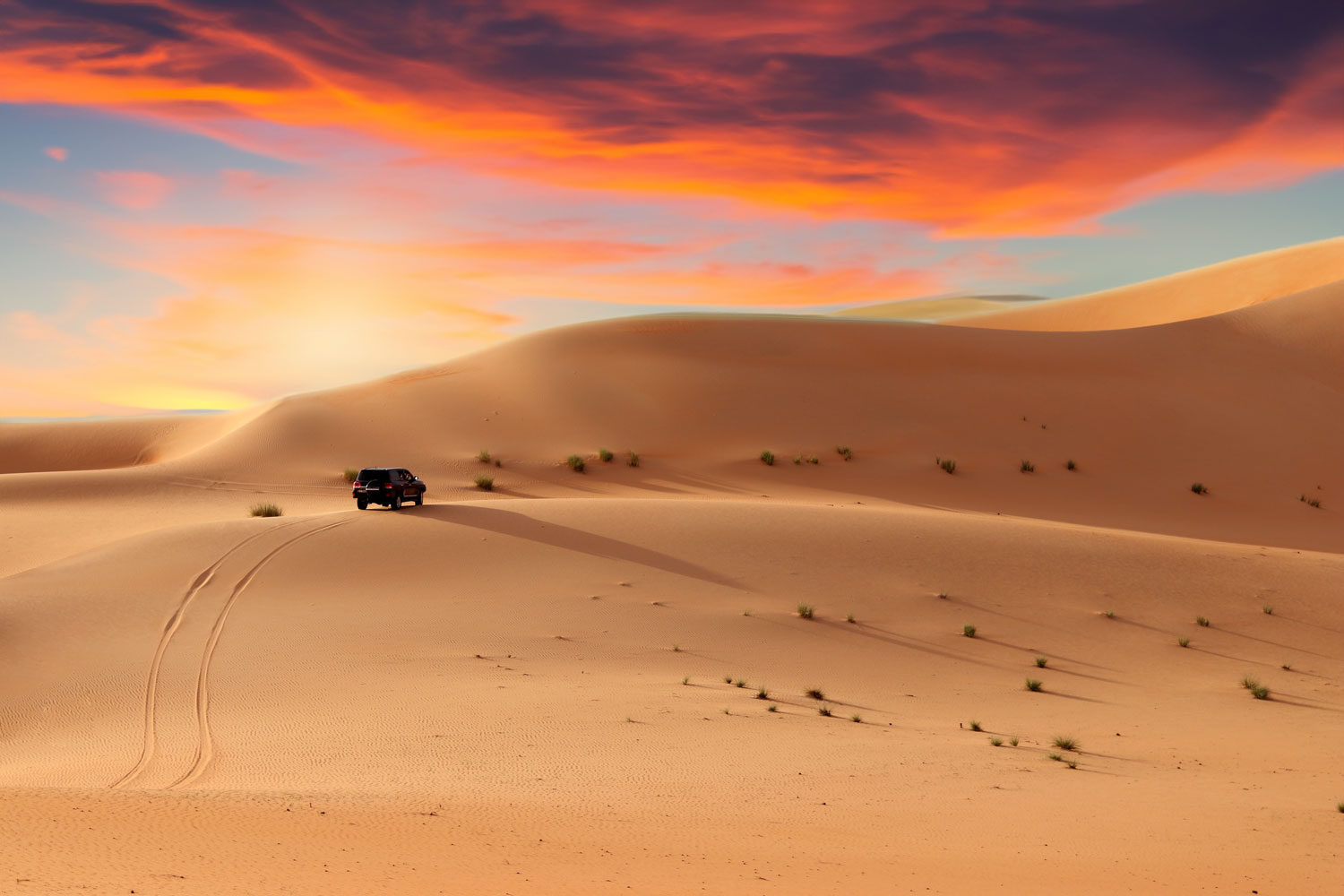 SERENITY OF THE DESERT